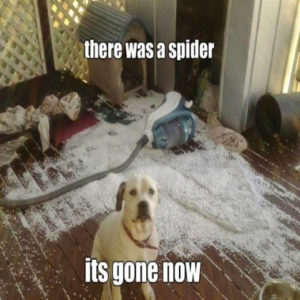 funny-guilty-puppy-meme